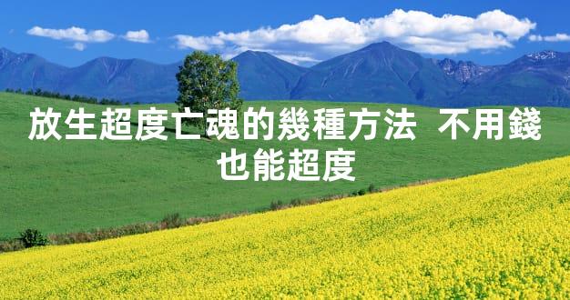 放生超度亡魂的幾種方法  不用錢也能超度